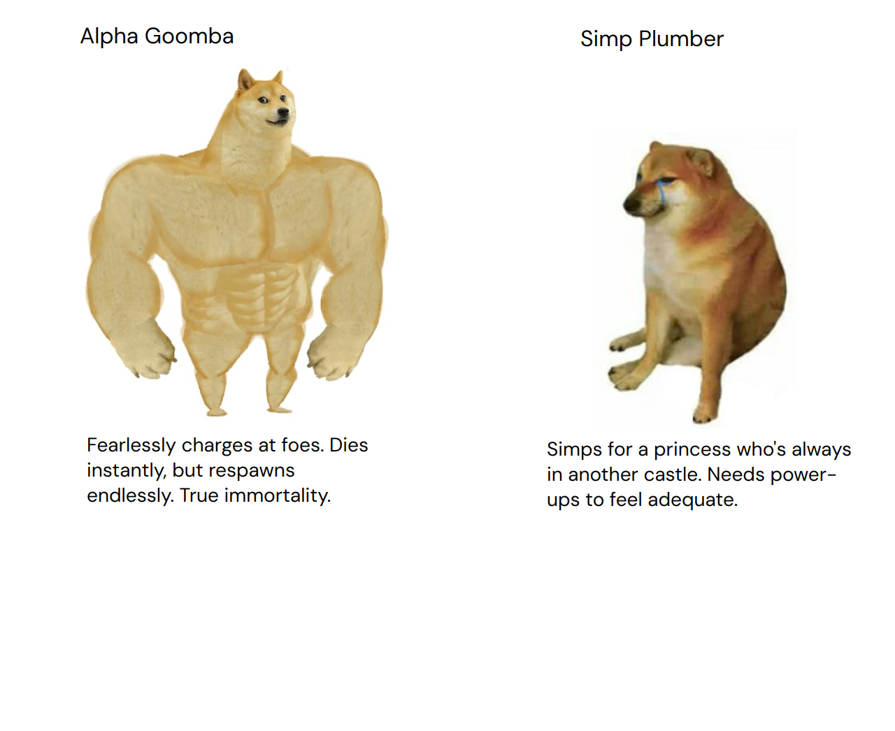 Output for the Glif "Doge vs Cheems Meme Generator"