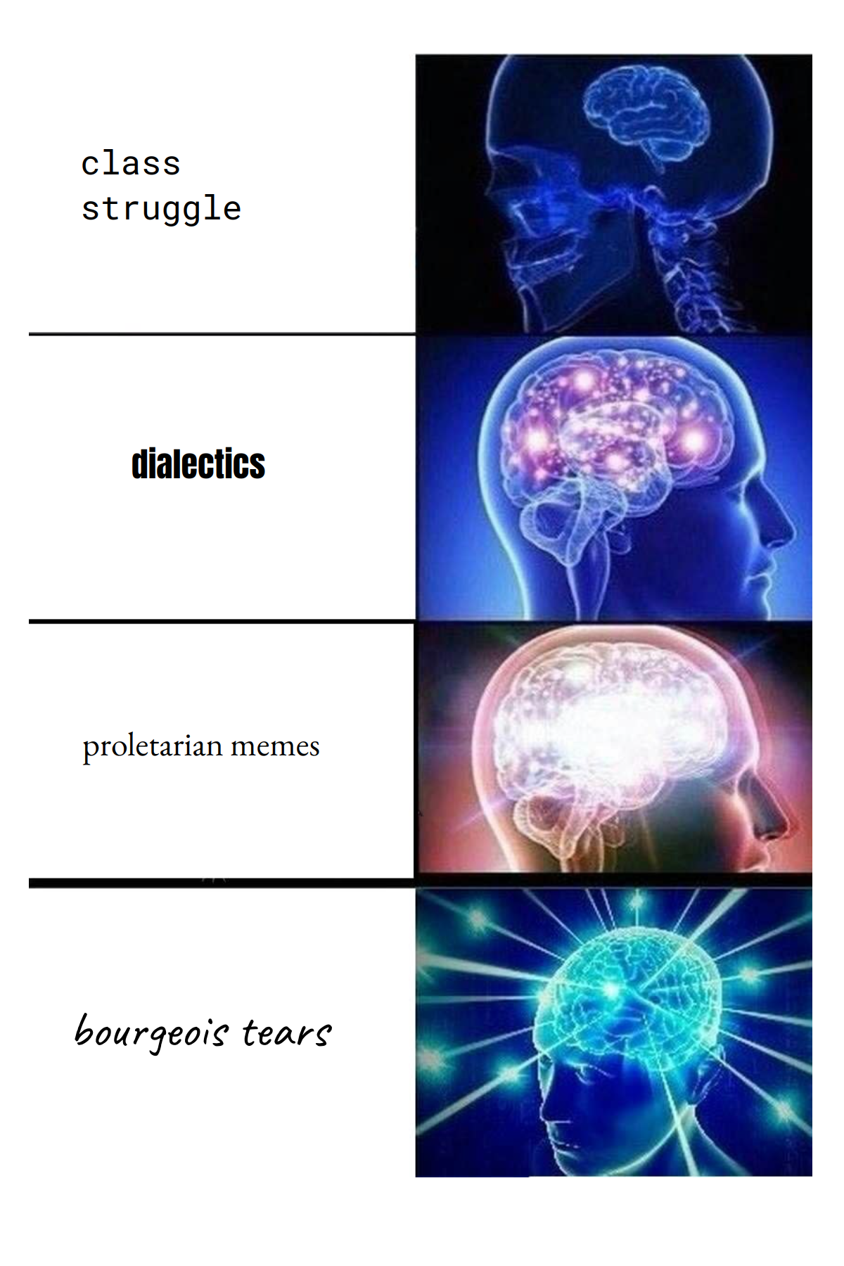 Output for the Glif "Expanding Brain Meme"