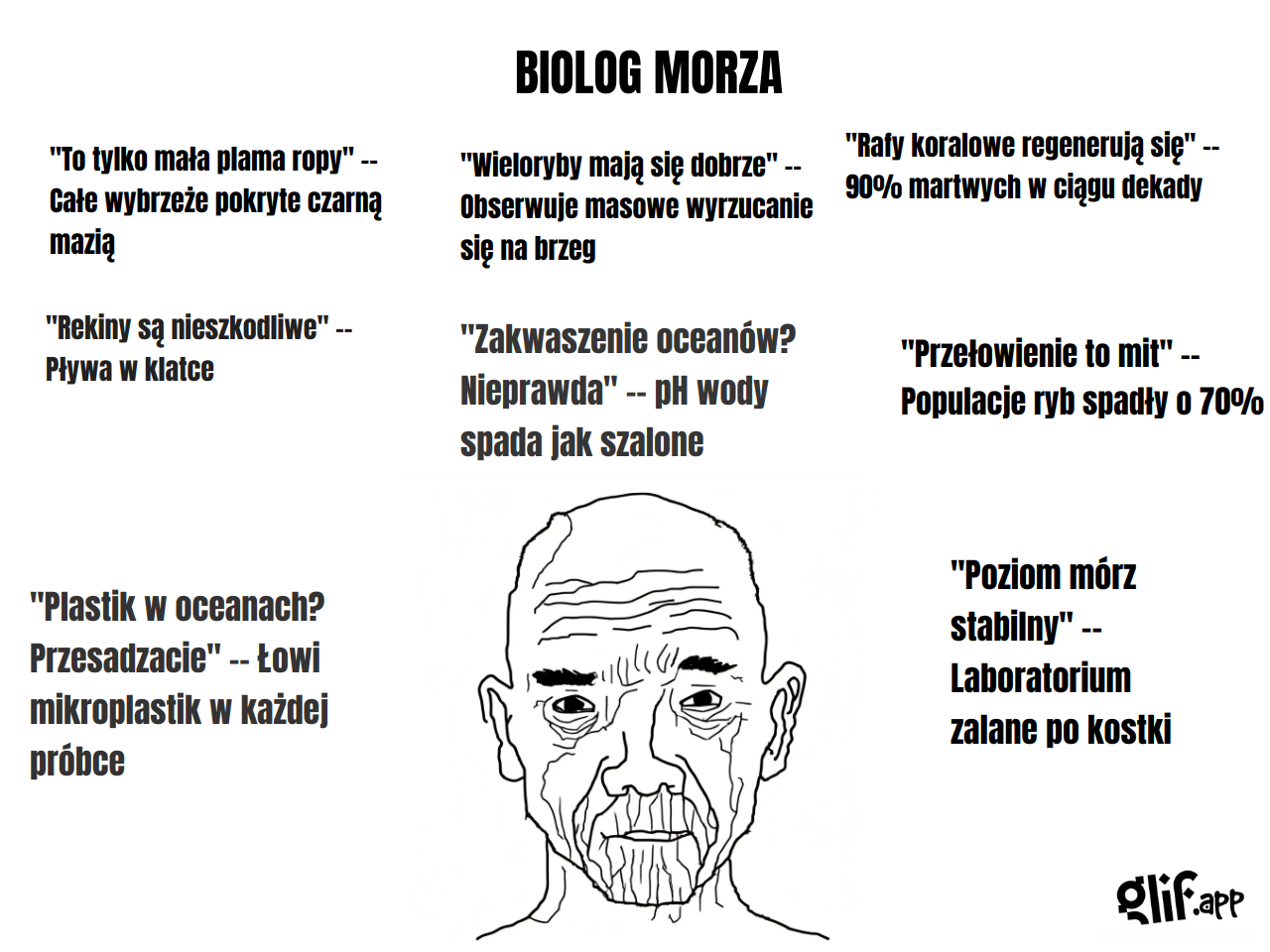 Output for the Skill "GENERATOR MEMÓW WOJAKA (PO POLSKU)"