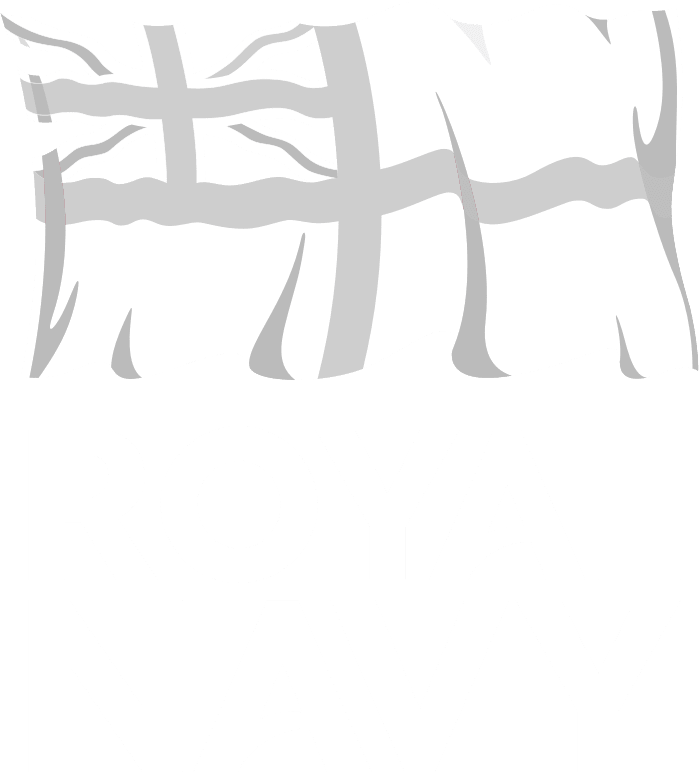 Royal Navy