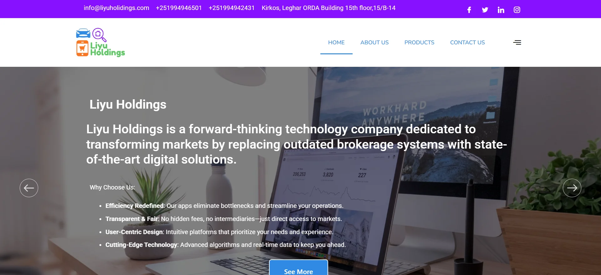 Desktop Screenshot for Liyu Holdings