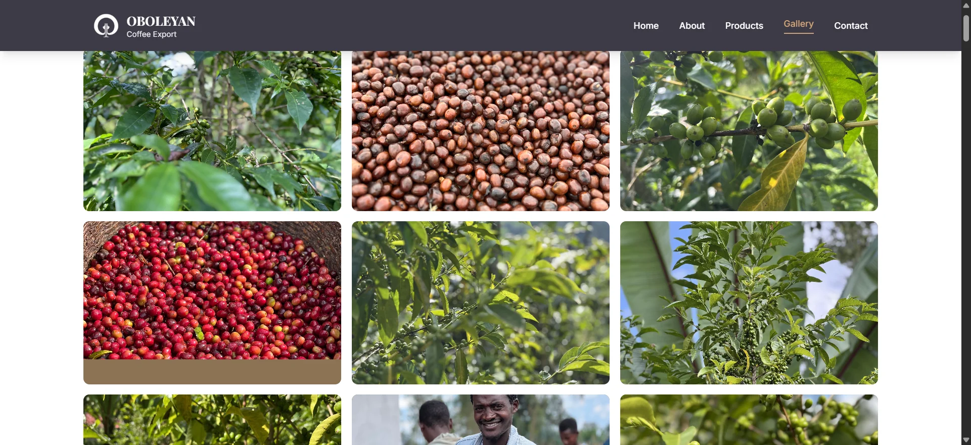 Desktop Screenshot for Oboleyan Coffee