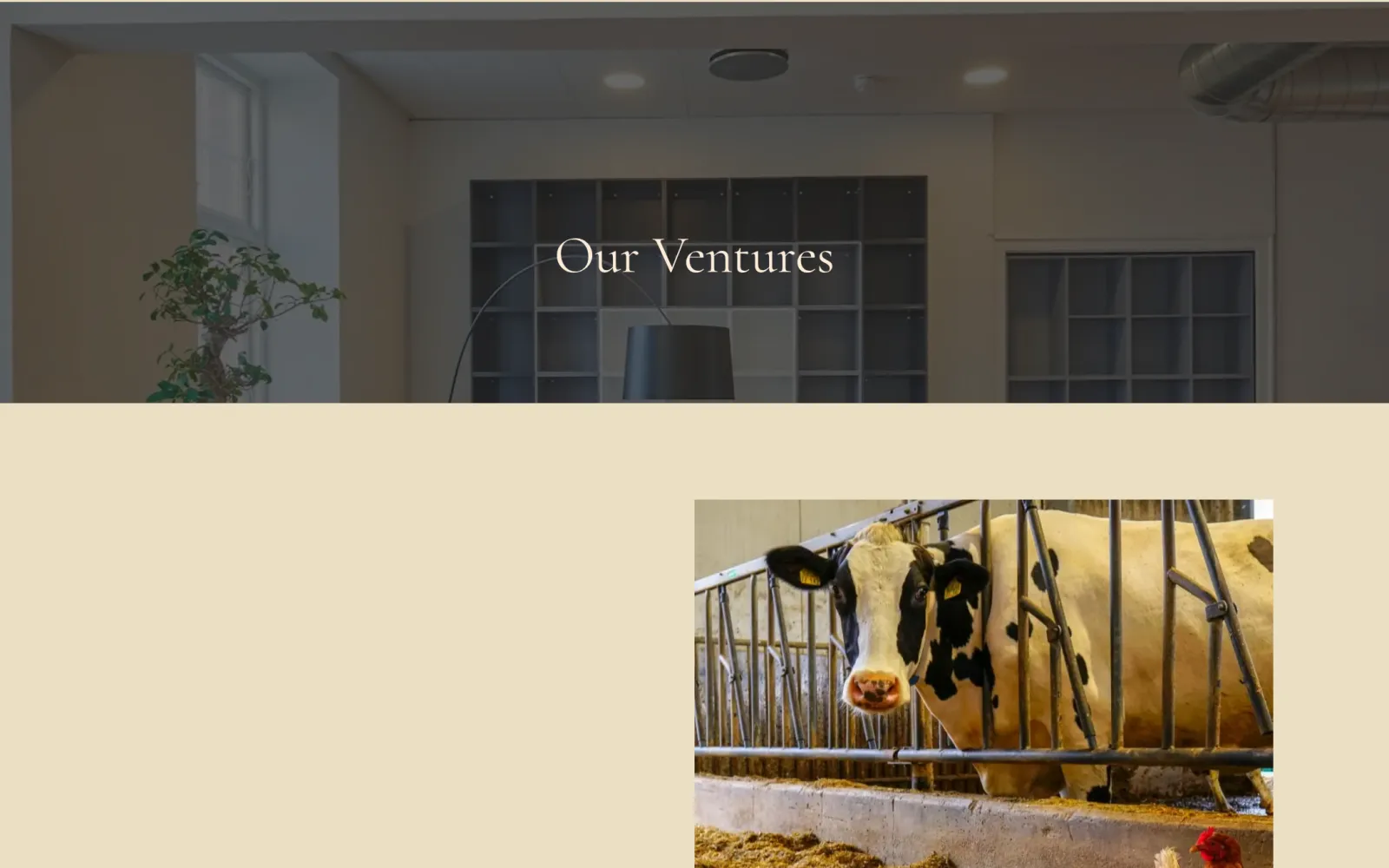 The ventures page listing the group’s businesses