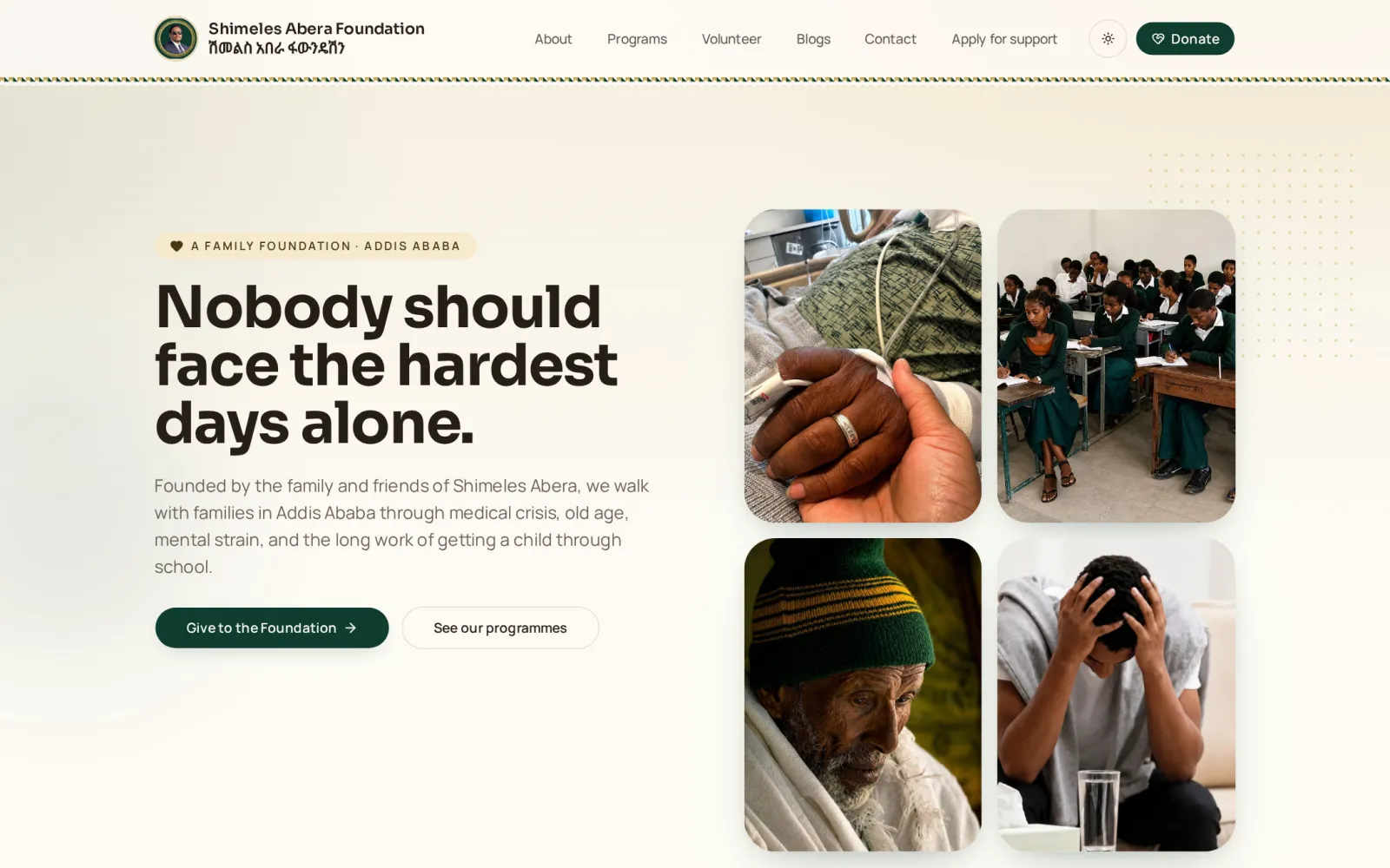 Foundation home page with its mission statement and programme imagery