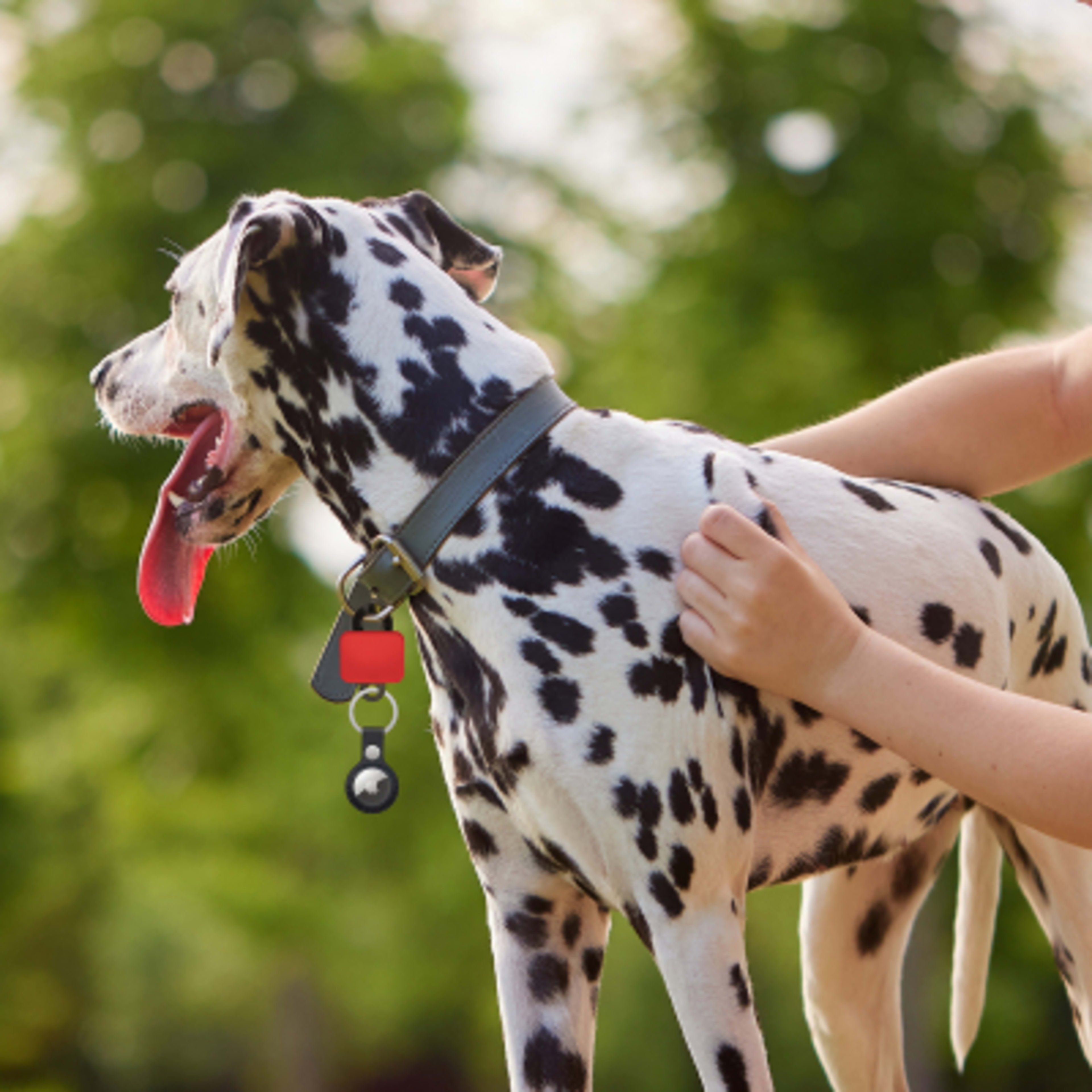 Custom Keychains Clipster Tag with Belt Clip - 1.25 x 2.75 in - Red - Inuse2 - product view 6