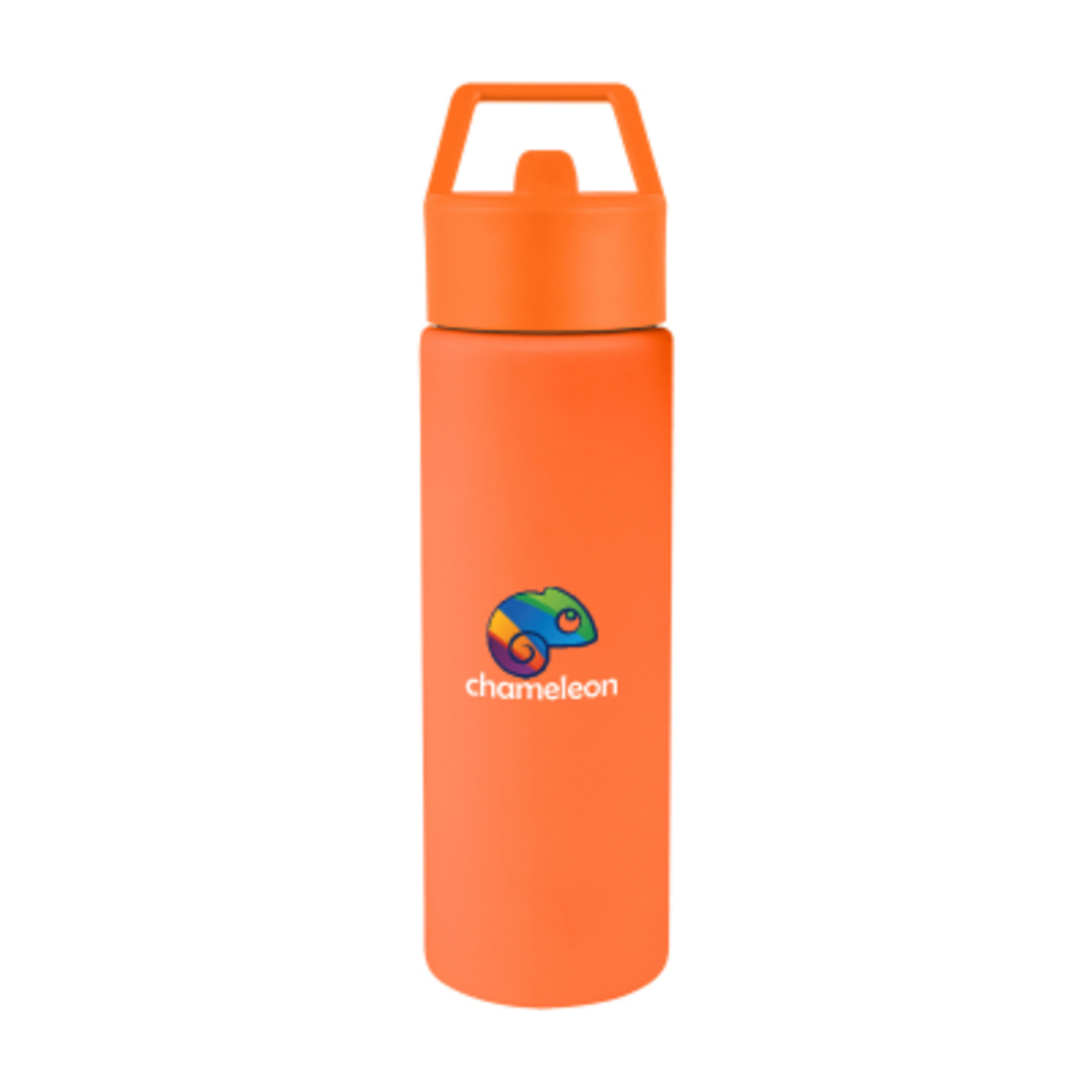 Insulated Water Bottle Recycled Steel with Straw - 24 oz - ORN - Colorbrite - product view 3