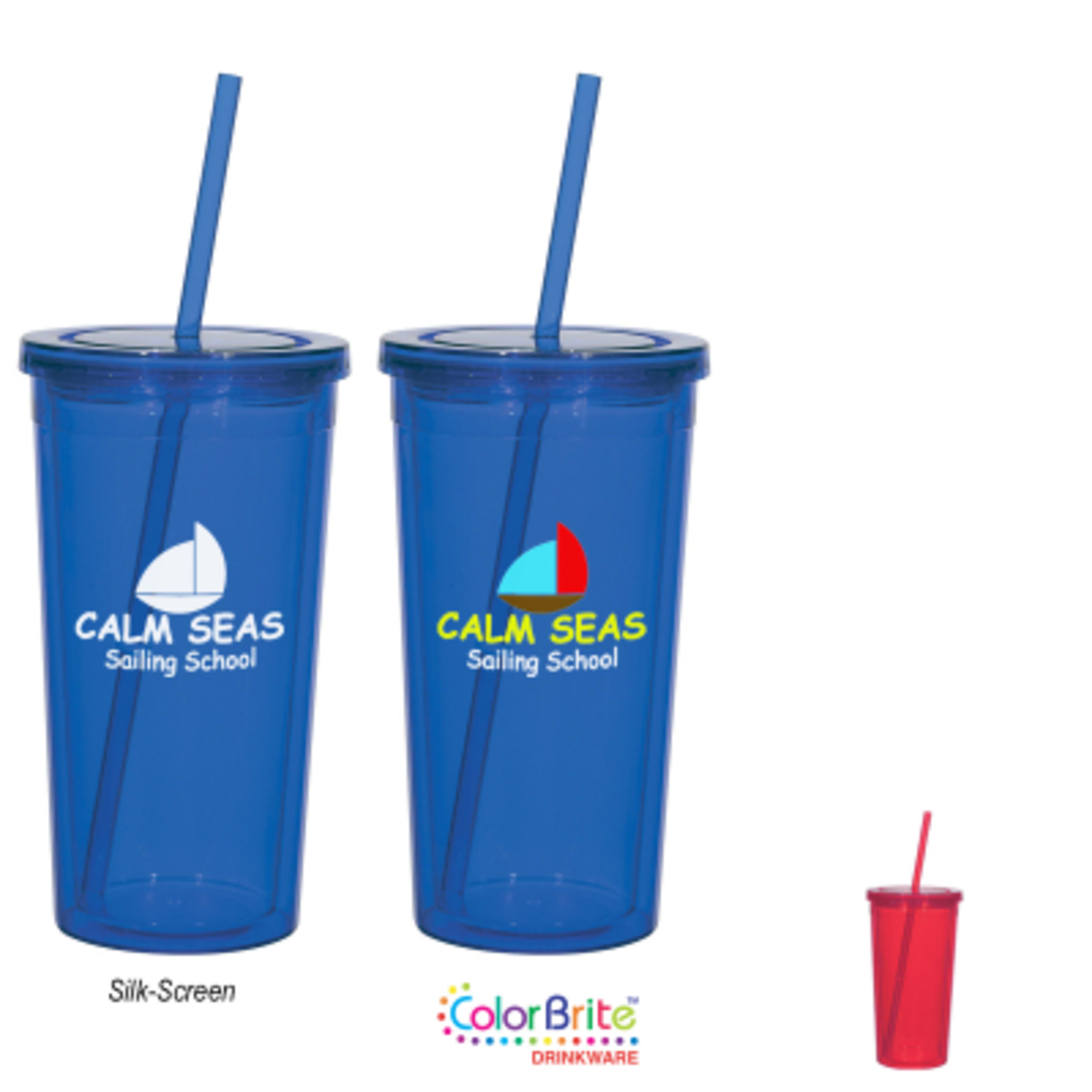 Acrylic Tumbler Double Wall with Matching Straw - 24 oz - Group Shot