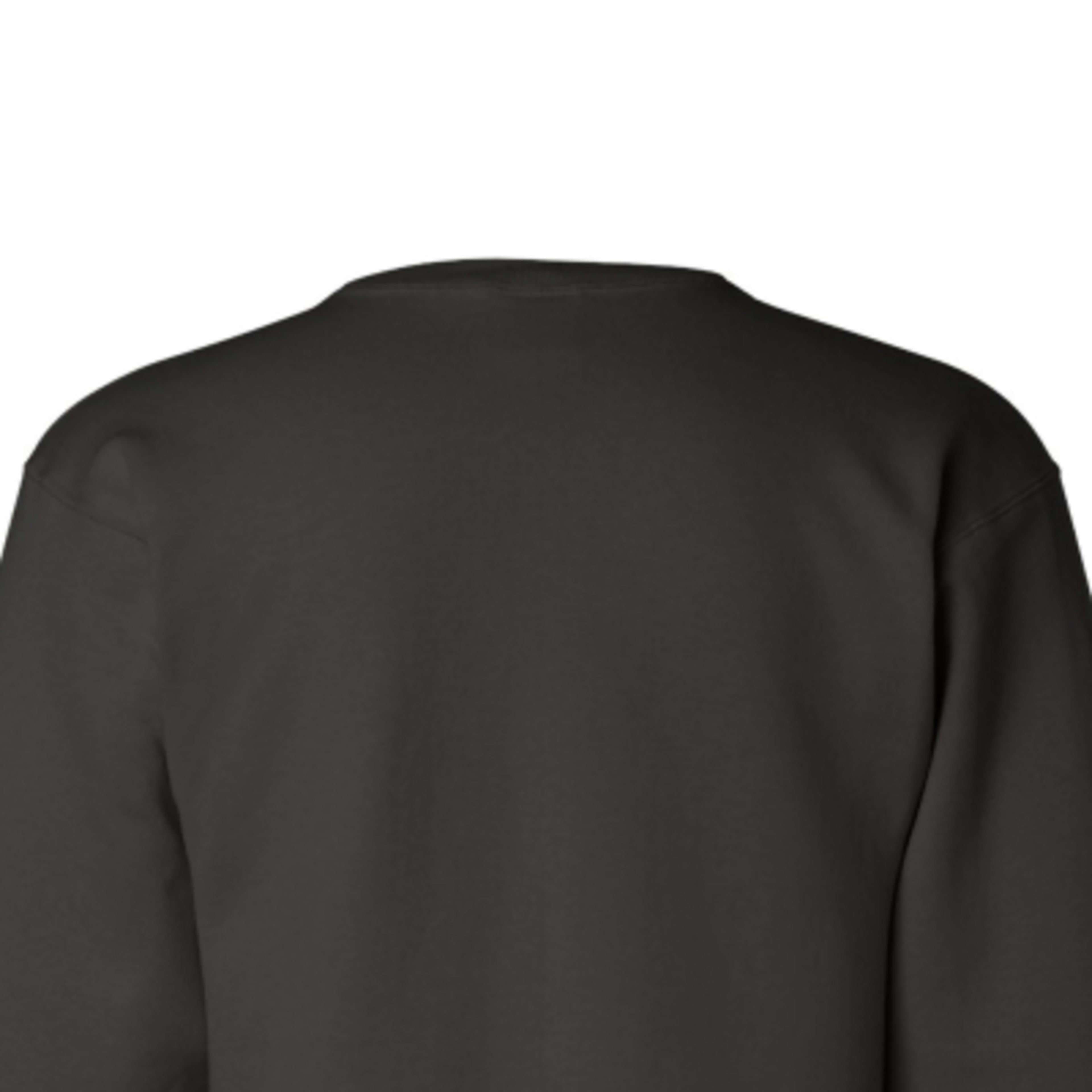 Crewneck Sweatshirt with Eco Recycled Polyester (Unisex) - Black - back zoom - product view 28