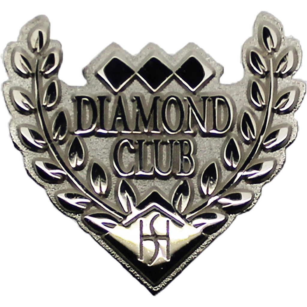 Diestruck Sandblasted Lapel Pin - Copper/Brass 0.75 in W ... - View 1 - Custom Lapel Pins - product view 2