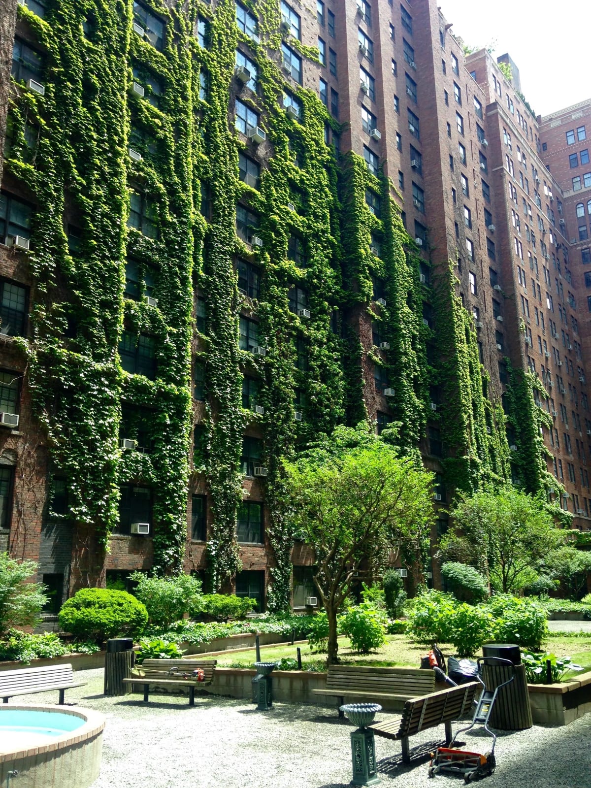 The private interior garden courtyard of London Terrace, walls draped in ivy