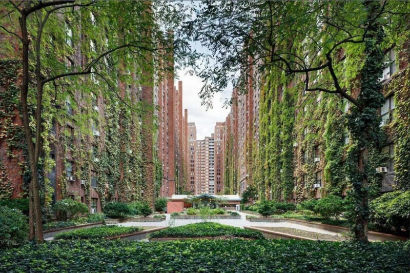 The ivy-draped walls of the London Terrace private garden courtyard