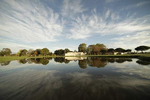 Vue 5 de Bacchus De Dauzac Aop