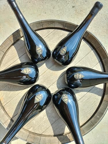 Vue 3 de Son Altesse Saint Emilion