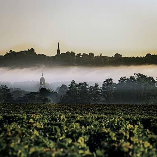 Vue 4 de Calvet Vieux Chateau Des