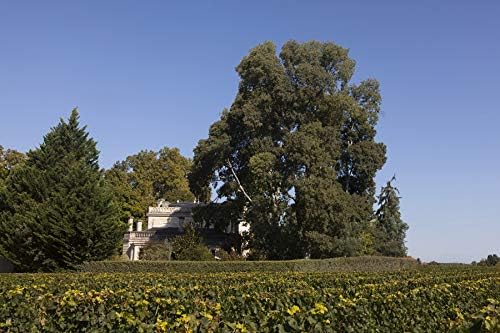 Vue 3 de Coffret Cadeau Caisse Bois