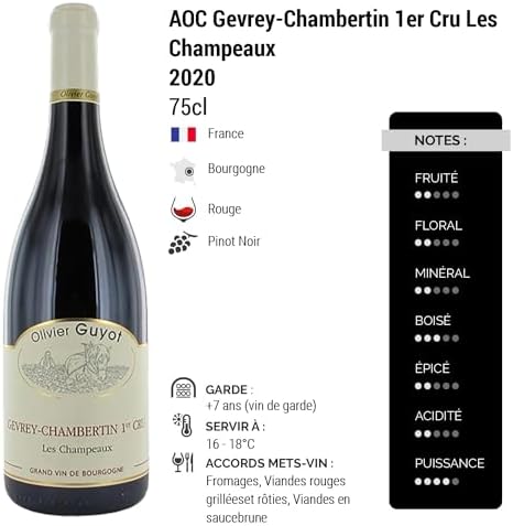 Vue 2 de Gevreychambertin Er Cru Les