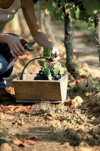 Vue 3 de Chemin Des Papes France