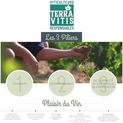 Vue 4 de Roche Mazet Merlot Vin