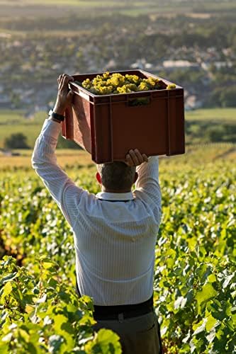 Vue 5 de Moillard Chablis Chardonnay Grand