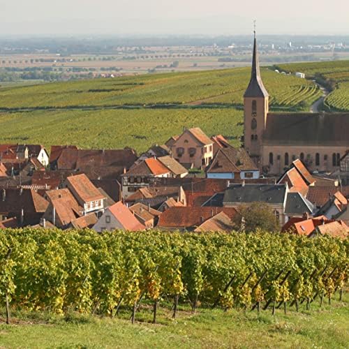 Vue 4 de Arthur Metz Vin Blanc