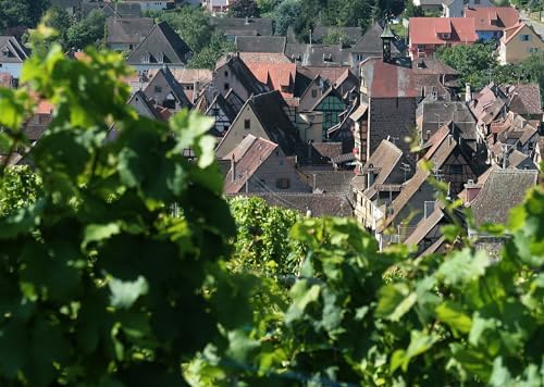 Vue 3 de Domaine Du Moulin De