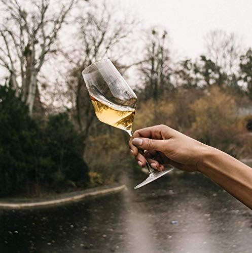 Vue 4 de Zalto Denkart Verre