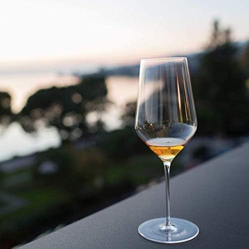 Vue 6 de Zalto Denkart Verre