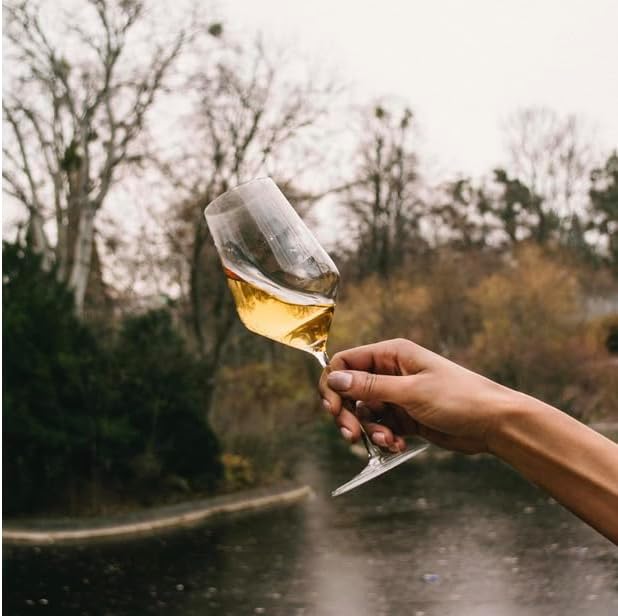 Vue 7 de Zalto Denk Art Lot