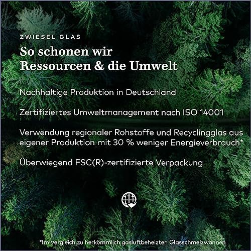 Vue 6 de Zwiesel Glas Verre