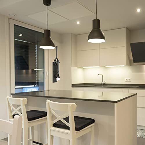 Vue 2 de Boj Tirebouchon Mural Traditionnel