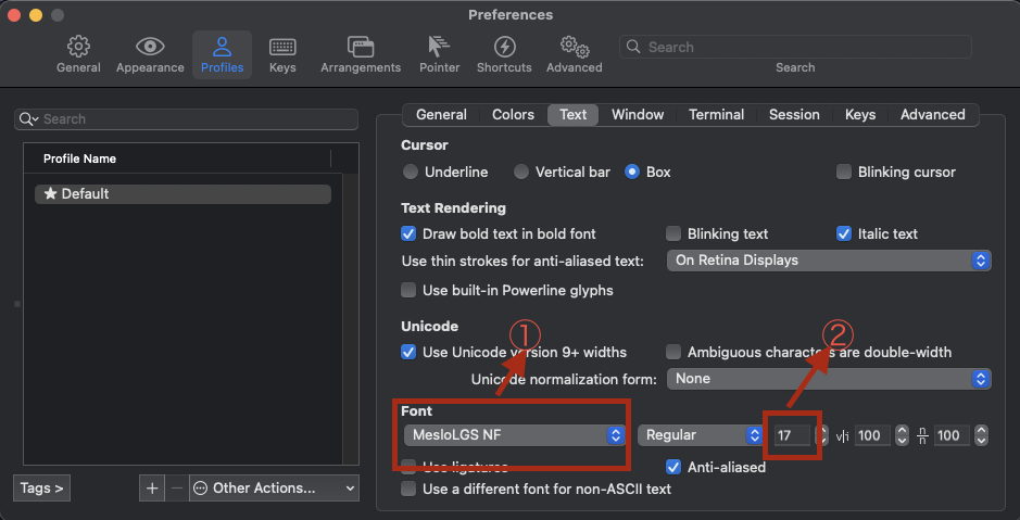 iterm font