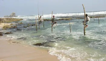 Private taxi from Arugam Bay to Weligama