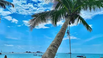 Taxi transfer to Hikkaduwa