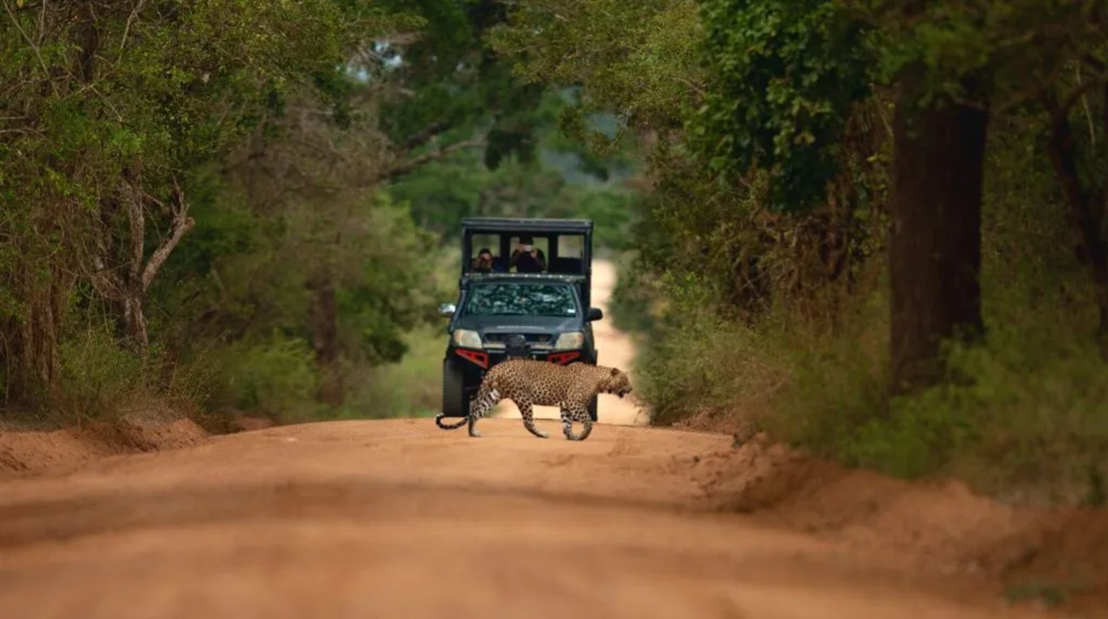 Sri Lanka landscape — Recreative Solutions