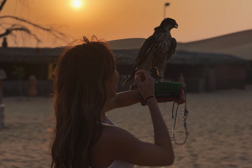Desert Camp at Sunset