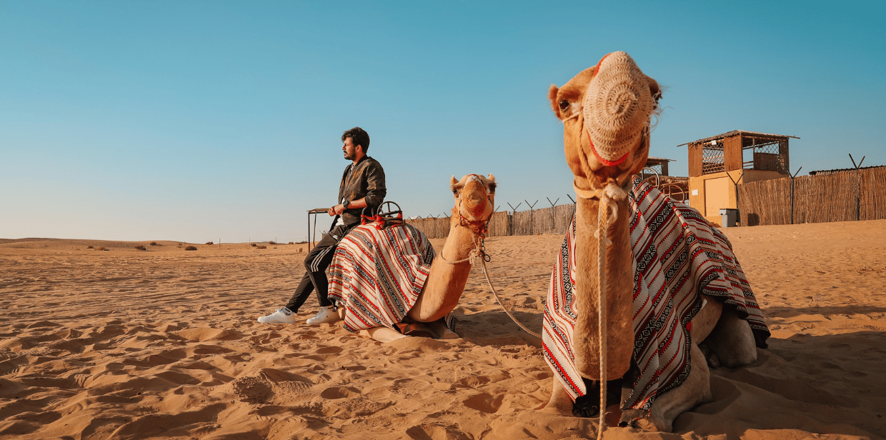 Abu Dhabi Desert Safari