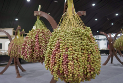 Liwa Dates Festival
