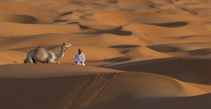 Liwa Overnight Desert Safari from Abu Dhabi