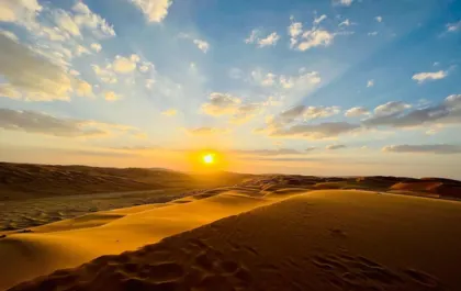 Liwa Sunset Desert Safari