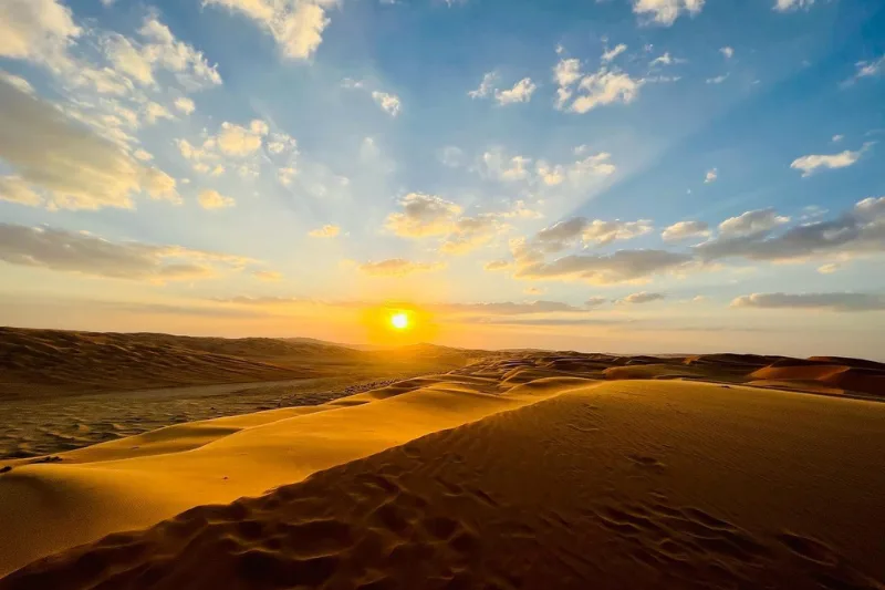 Liwa Sunset Desert Safari