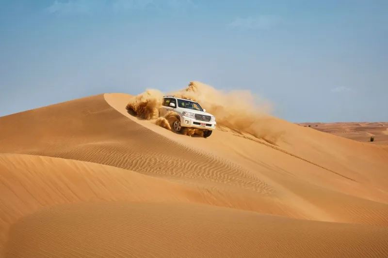 Al Wathba Fossil Dunes and Salt Lake Tour from Abu Dhabi