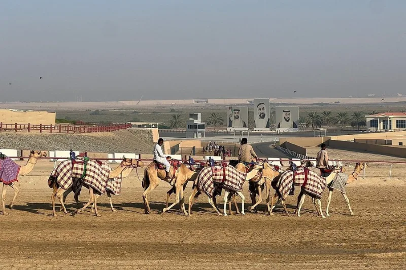 Al Wathba Fossil Dunes and Salt Lake Tour from Abu Dhabi