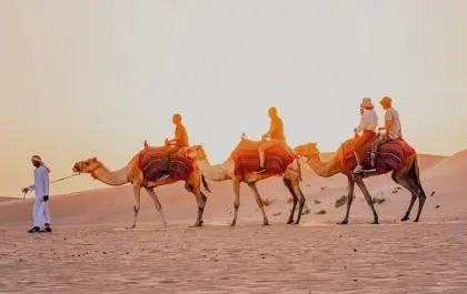 Abu Dhabi Camel Trekking Tour with Transfers