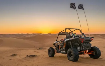 Self-drive Dune Buggy Experience with Evening Safari