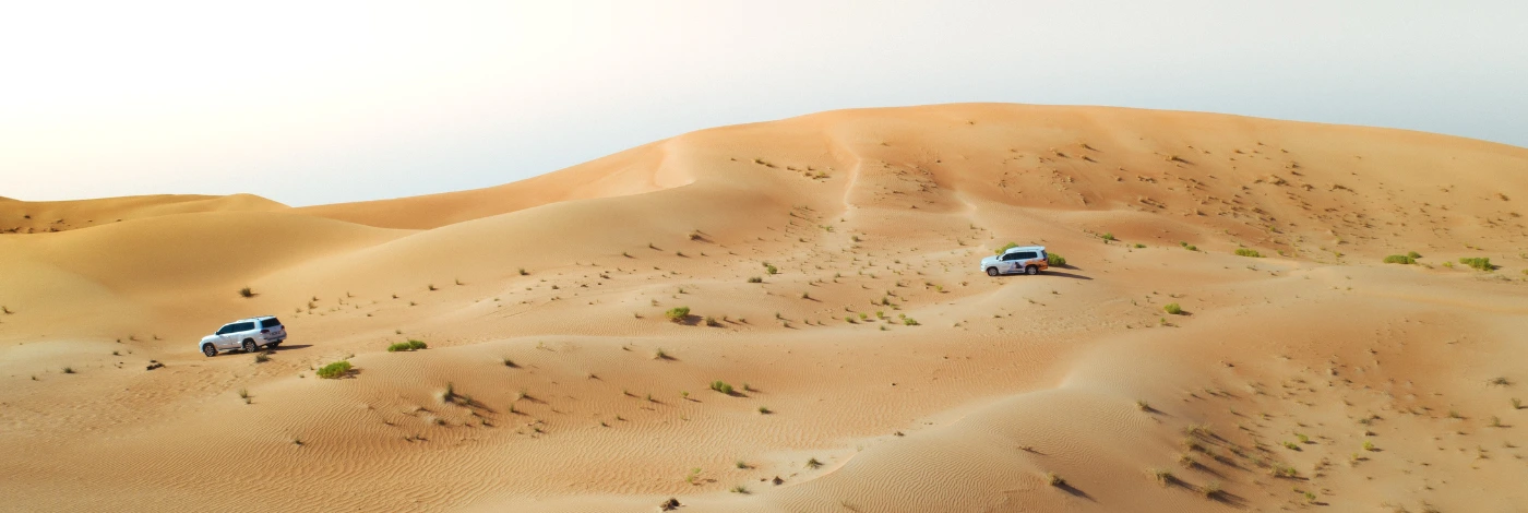 Private Morning Desert Safari Abu Dhabi