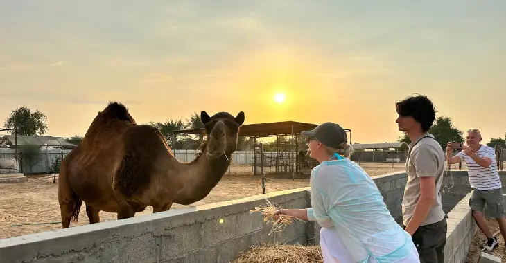 Luxury Desert Safari Abu Dhabi