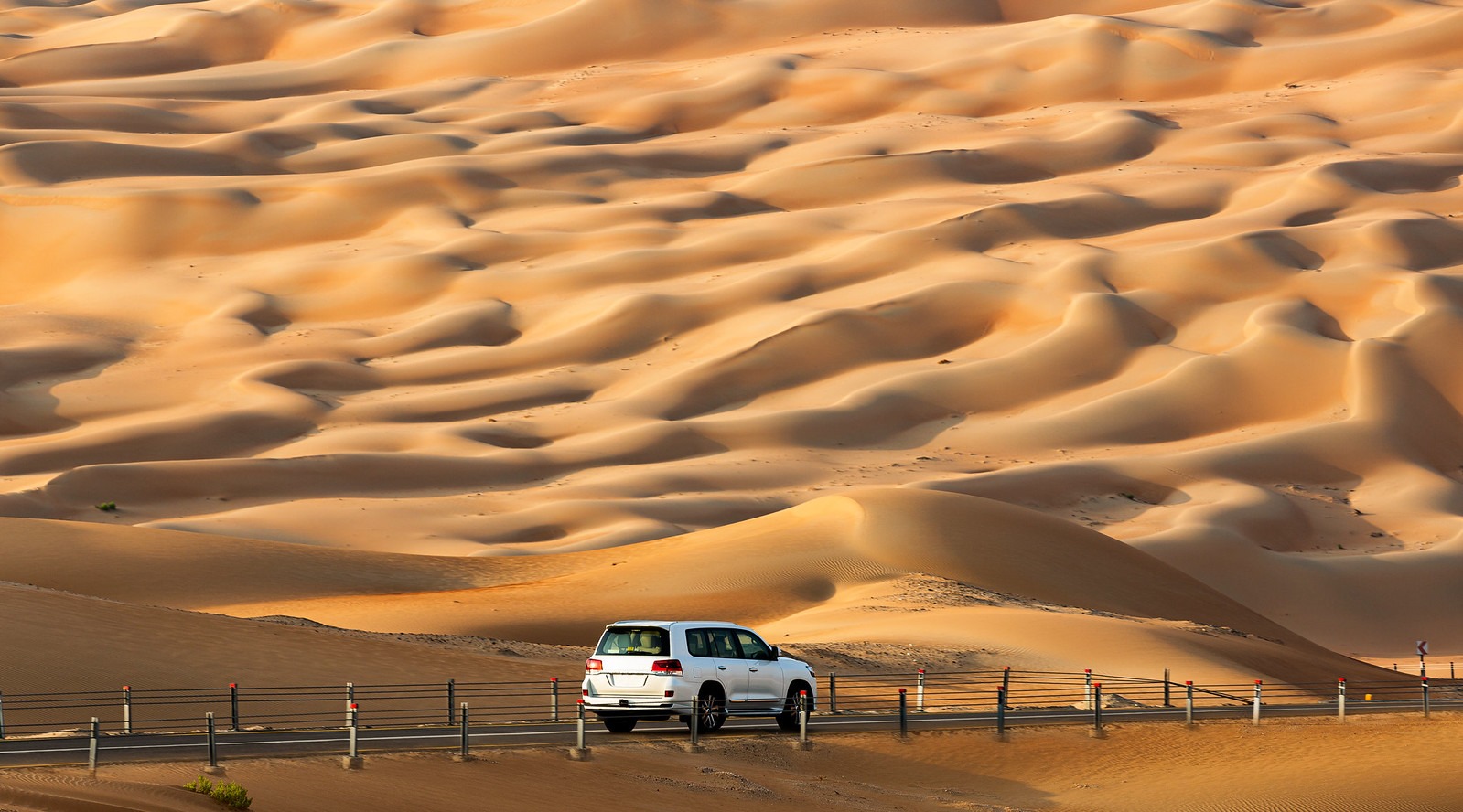 Empty Quarter Rub al Khali sand sea near Liwa