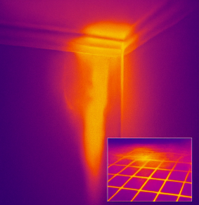 Thermal Plumbing & Leak Detection