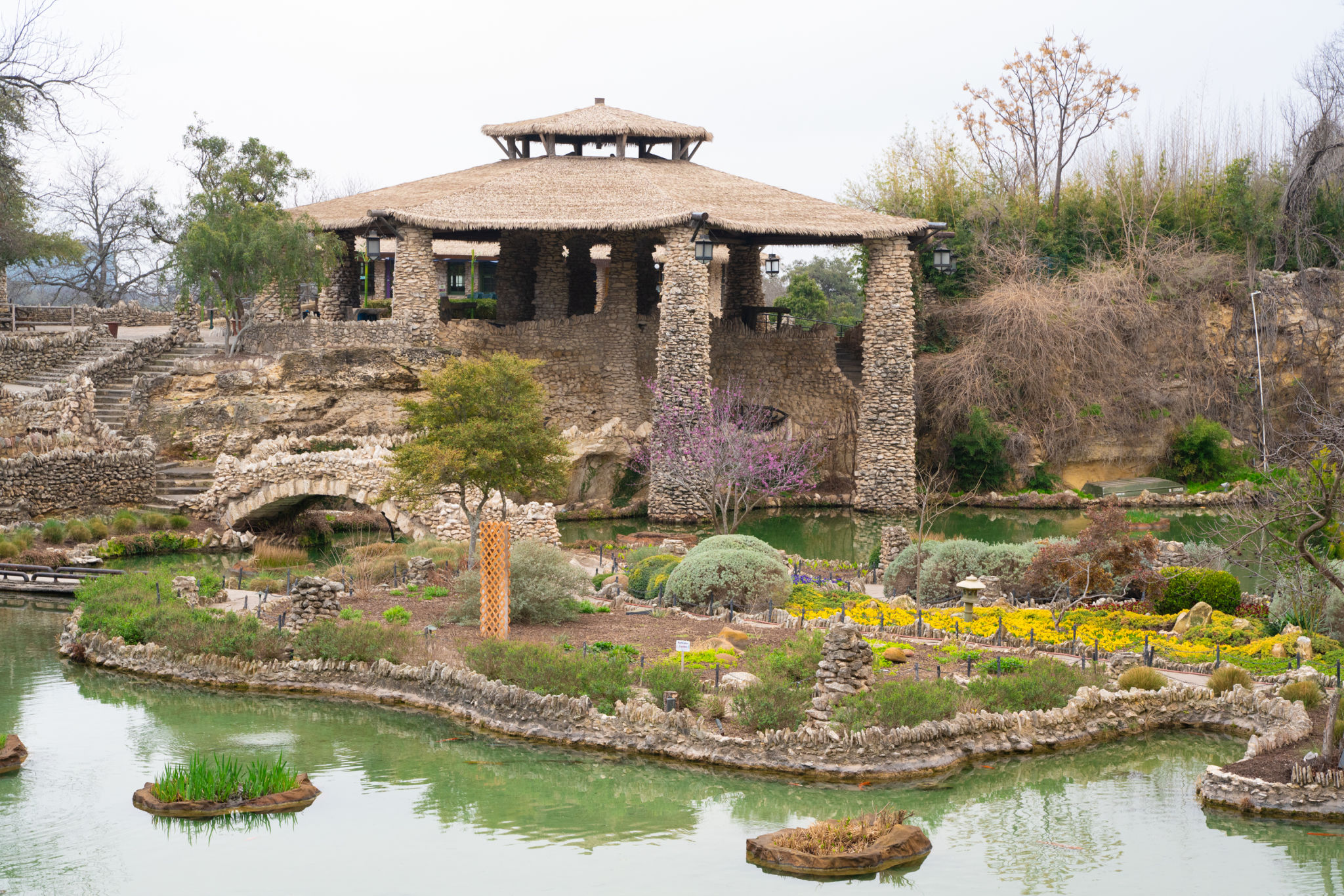 Japanese Tea Garden with stone bridges and koi ponds in San Antonio