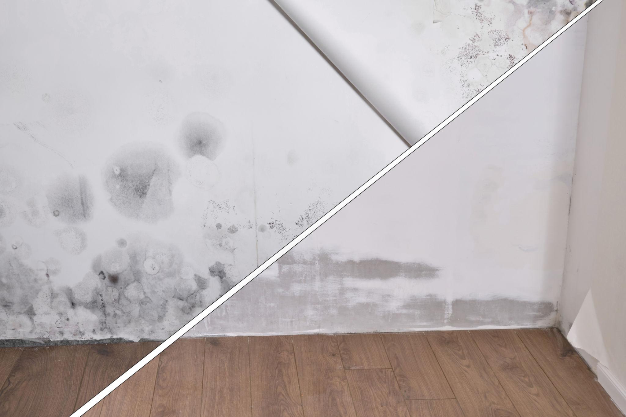 Jobsite conditions after cleanup, repair, or restricted access